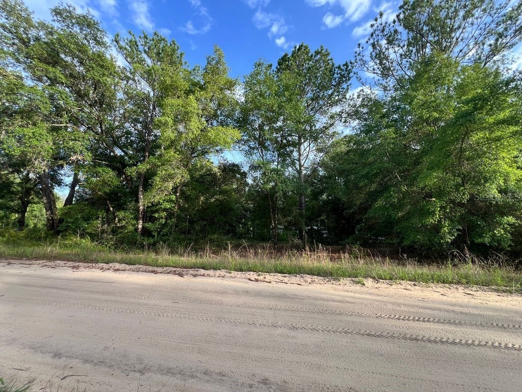 Decker Street Lot 12 13 Interlachen FL 32148 O6402641 image3