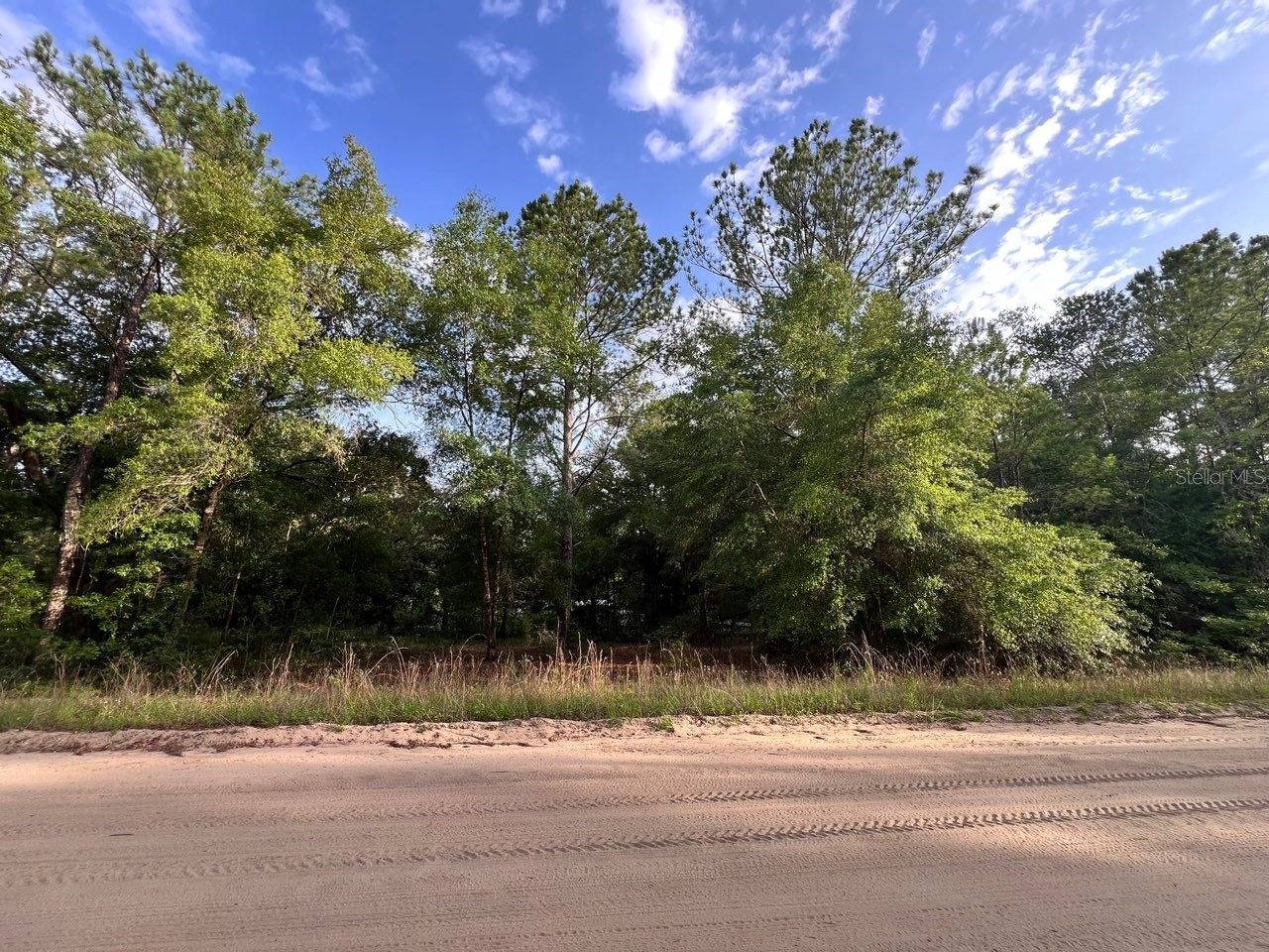 Decker Street Lot 12 13 Interlachen FL 32148 O6402641 image4