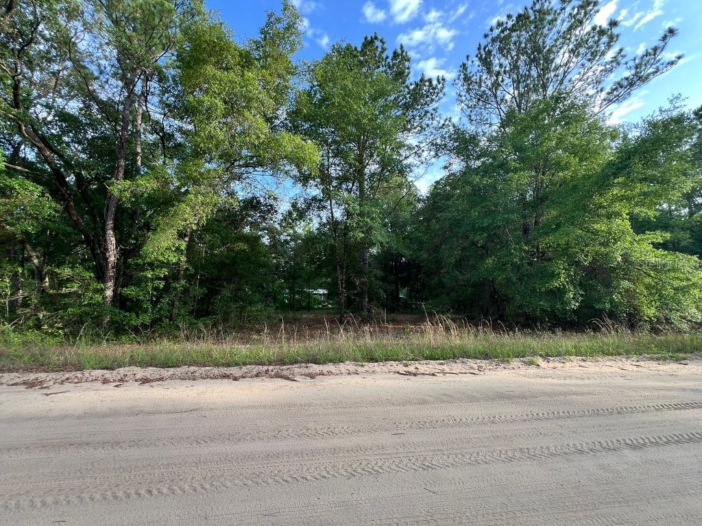 Decker Street Lot 12 13 Interlachen FL 32148 O6402641 image5