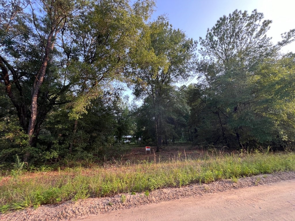 Decker Street Lot 12 13 Interlachen FL 32148 O6402641 image6