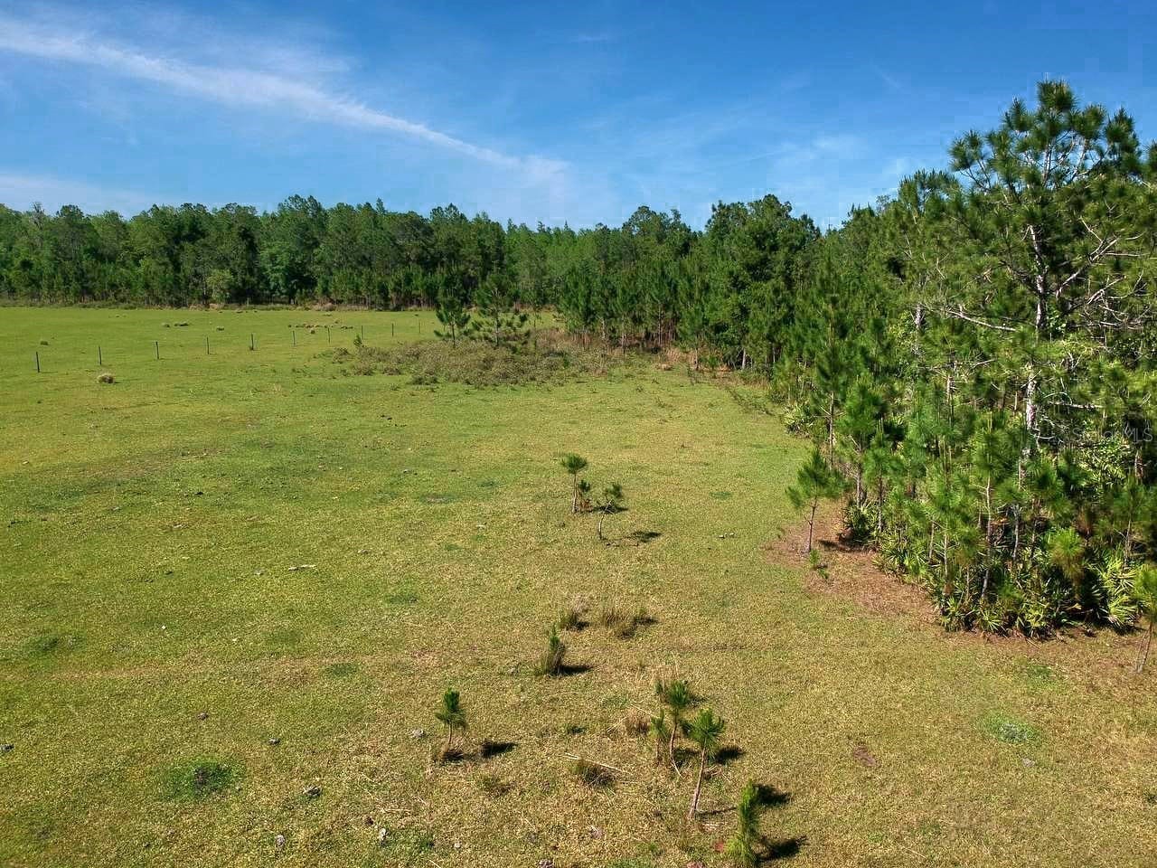 Deen Still Rd E Road E #LOT B-178 Polk City FL 33868 OM718113 image2