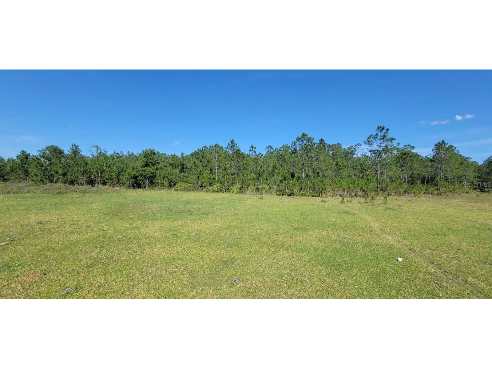 Deen Still Rd E Road E #LOT B-178 Polk City FL 33868 OM718113 image3