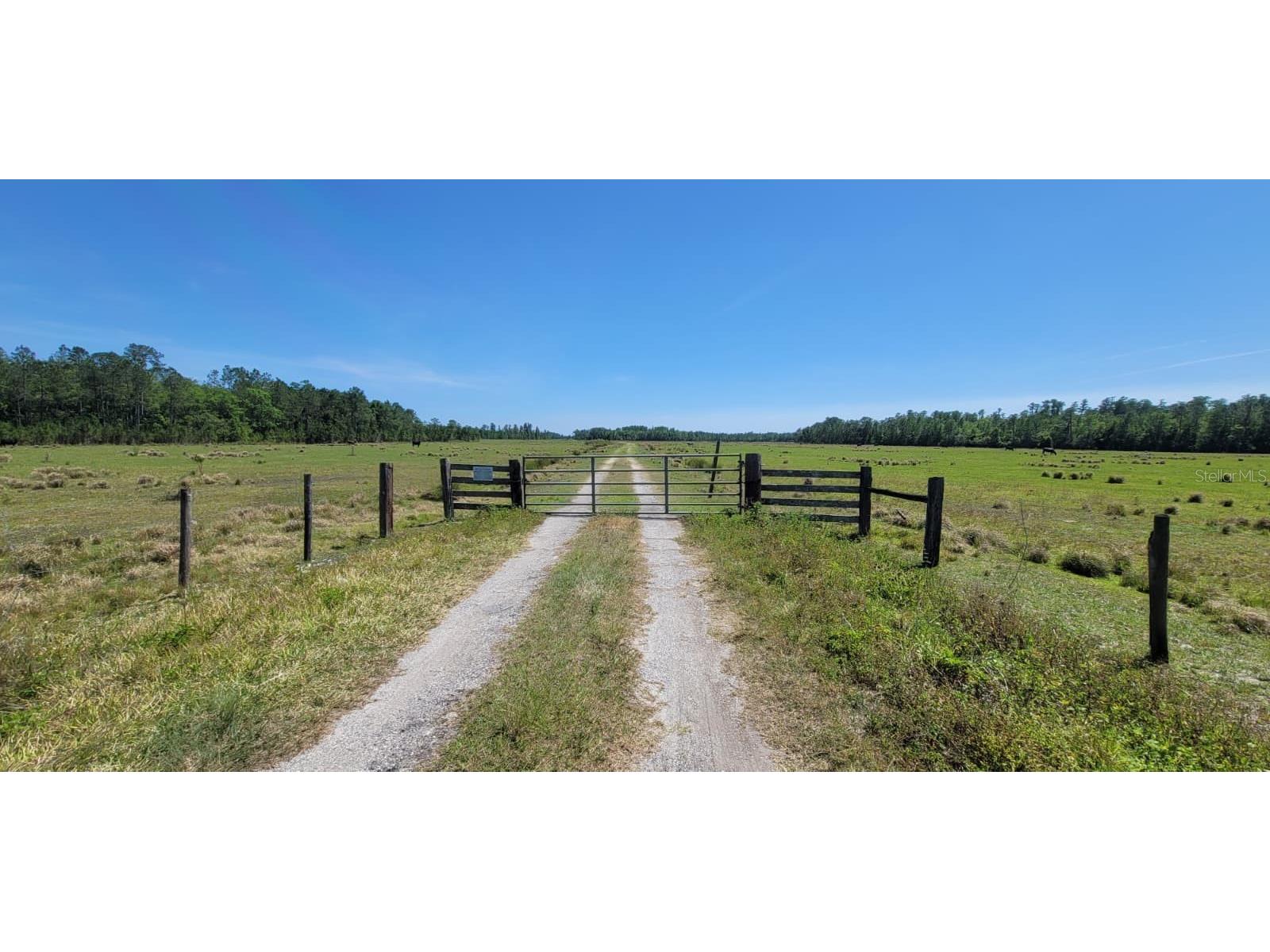 Deen Still Rd E Road E #LOT B-178 Polk City FL 33868 OM718113 image4