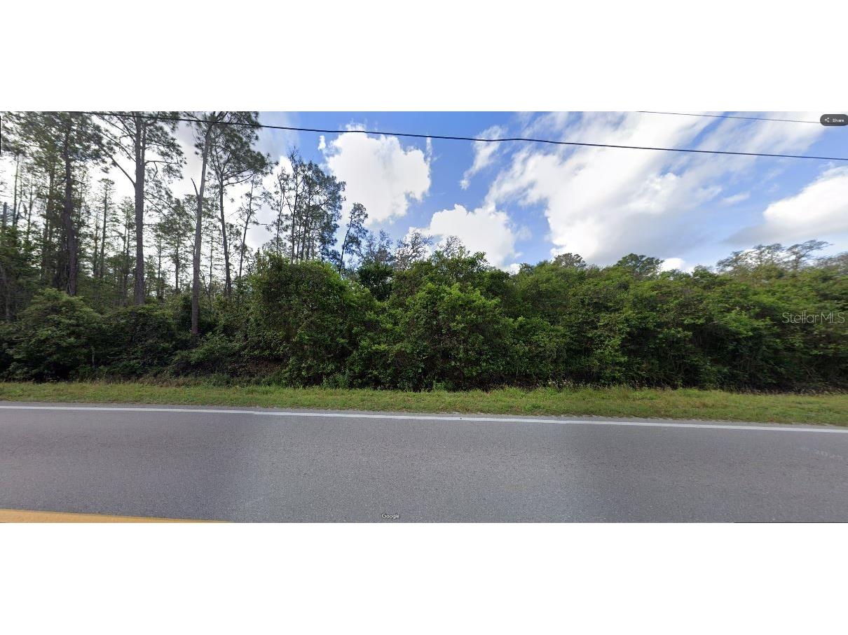 Deen Still Rd Road Polk City FL 33868 O6266389 image2