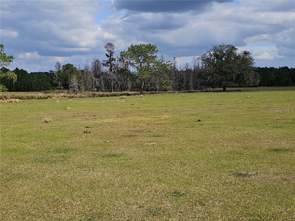 Deen Still Road E Polk City FL 33868 G5078262 image1