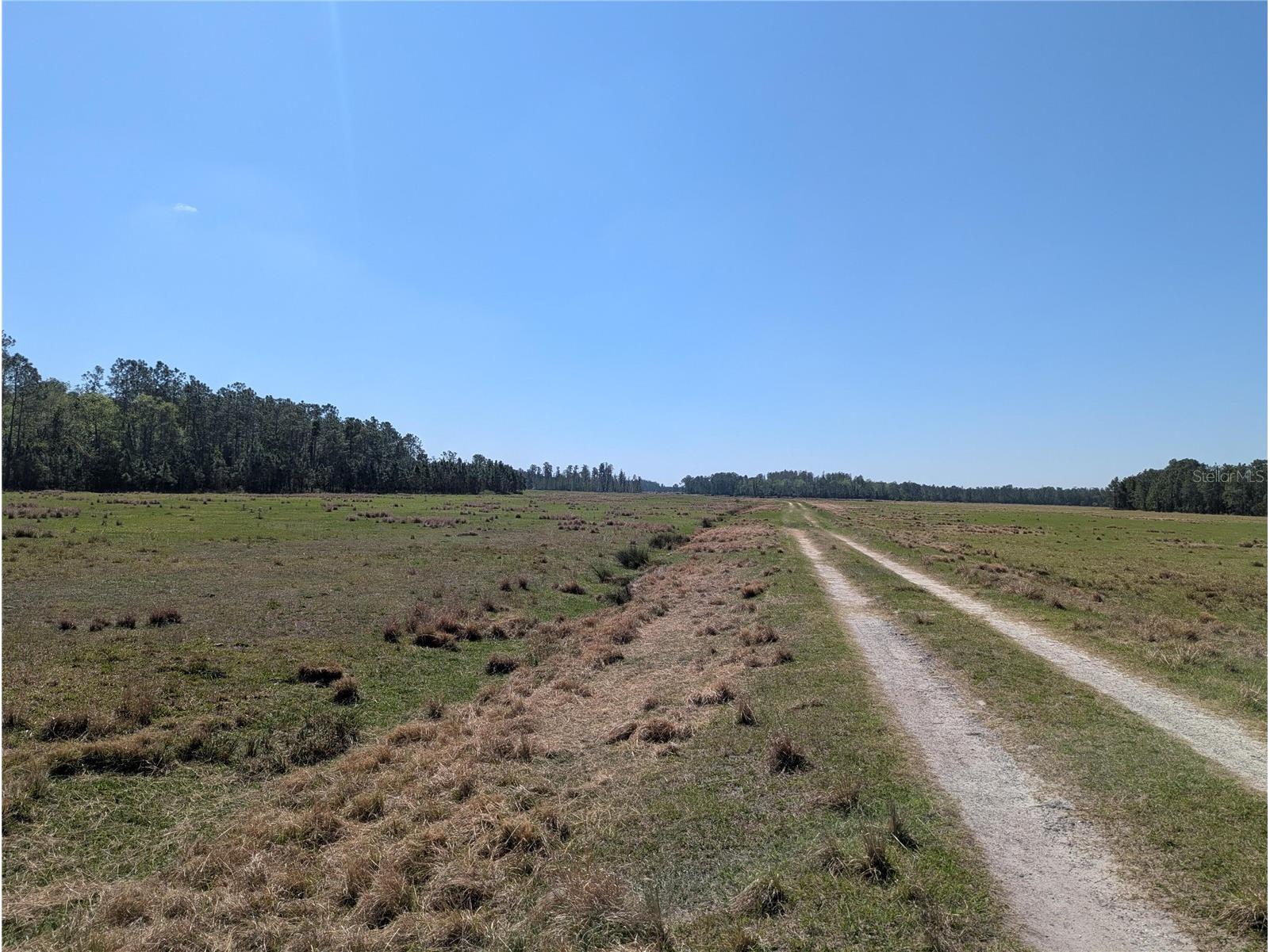 Deen Still Road E Polk City FL 33868 O6401033 image1