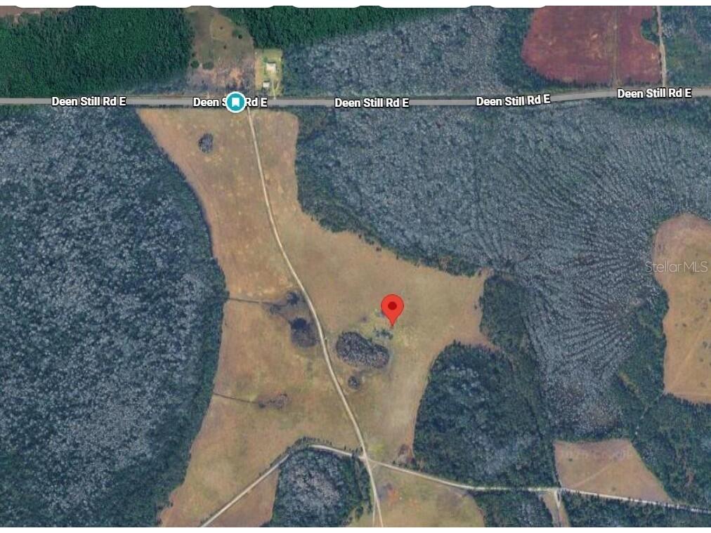 Deen Still Road E Polk City FL 33868 O6401033 image3