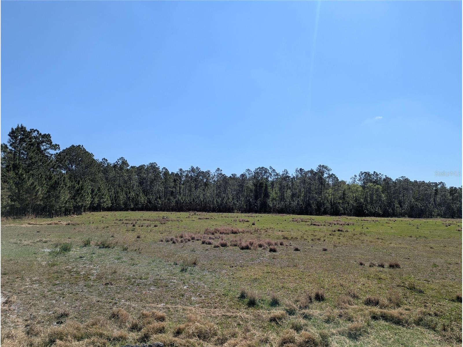Deen Still Road E Polk City FL 33868 O6401033 image4