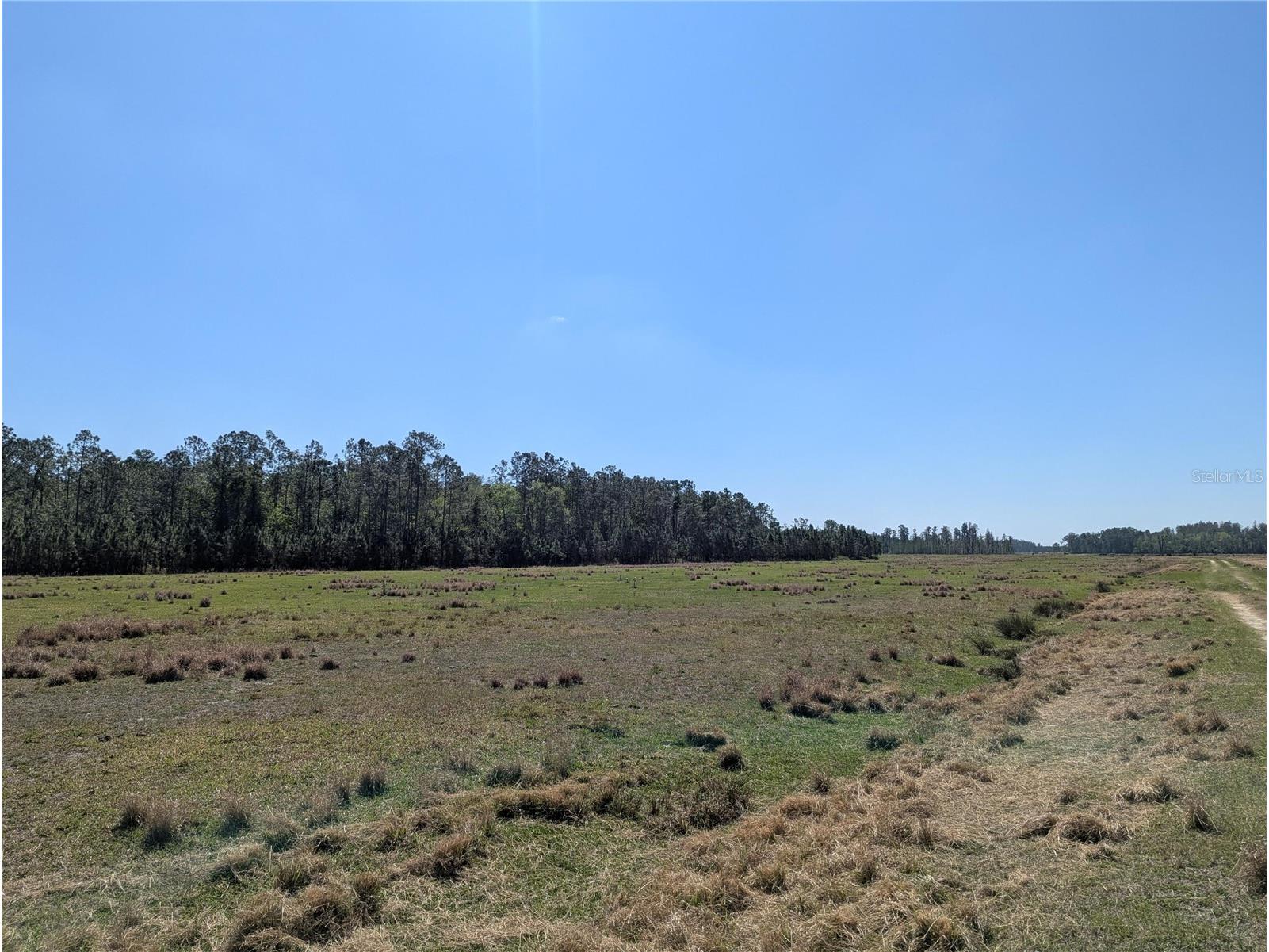 Deen Still Road E Polk City FL 33868 O6401033 image5