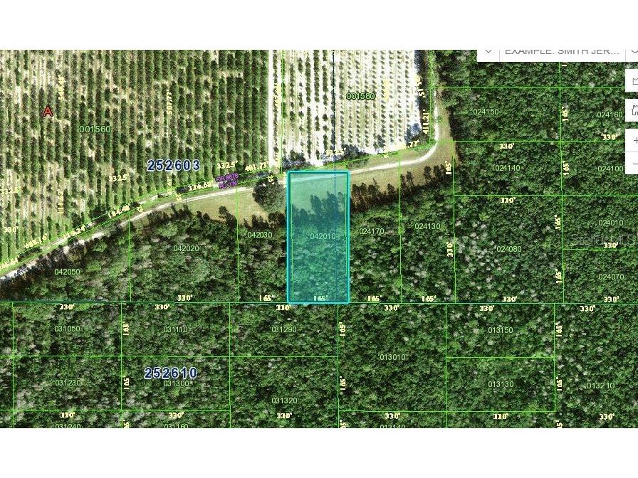 Deen Still Road Polk City FL 33868 O6228699 image1