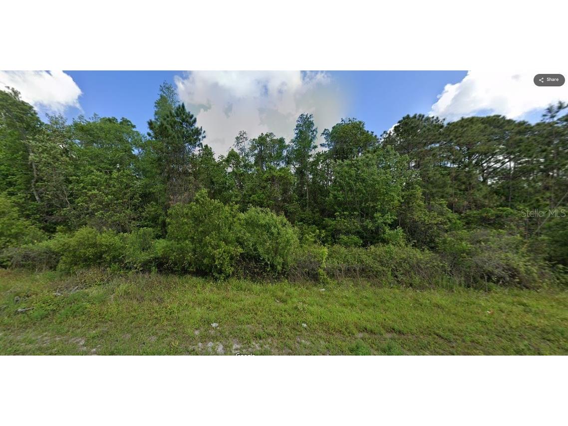 Deen Still Road Polk City FL 33868 O6228699 image2