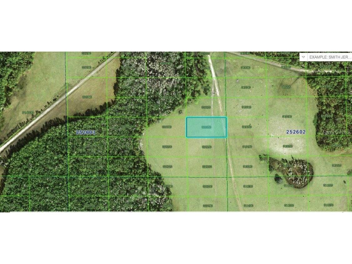 Deen Still Road Polk City FL 33868 O6246985 image1