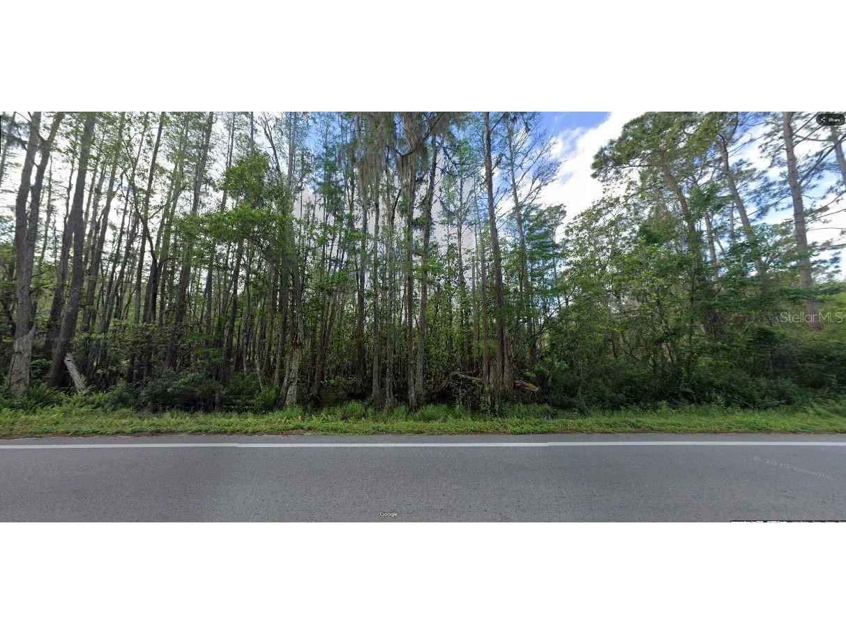 Deen Still Road Polk City FL 33868 O6246985 image2