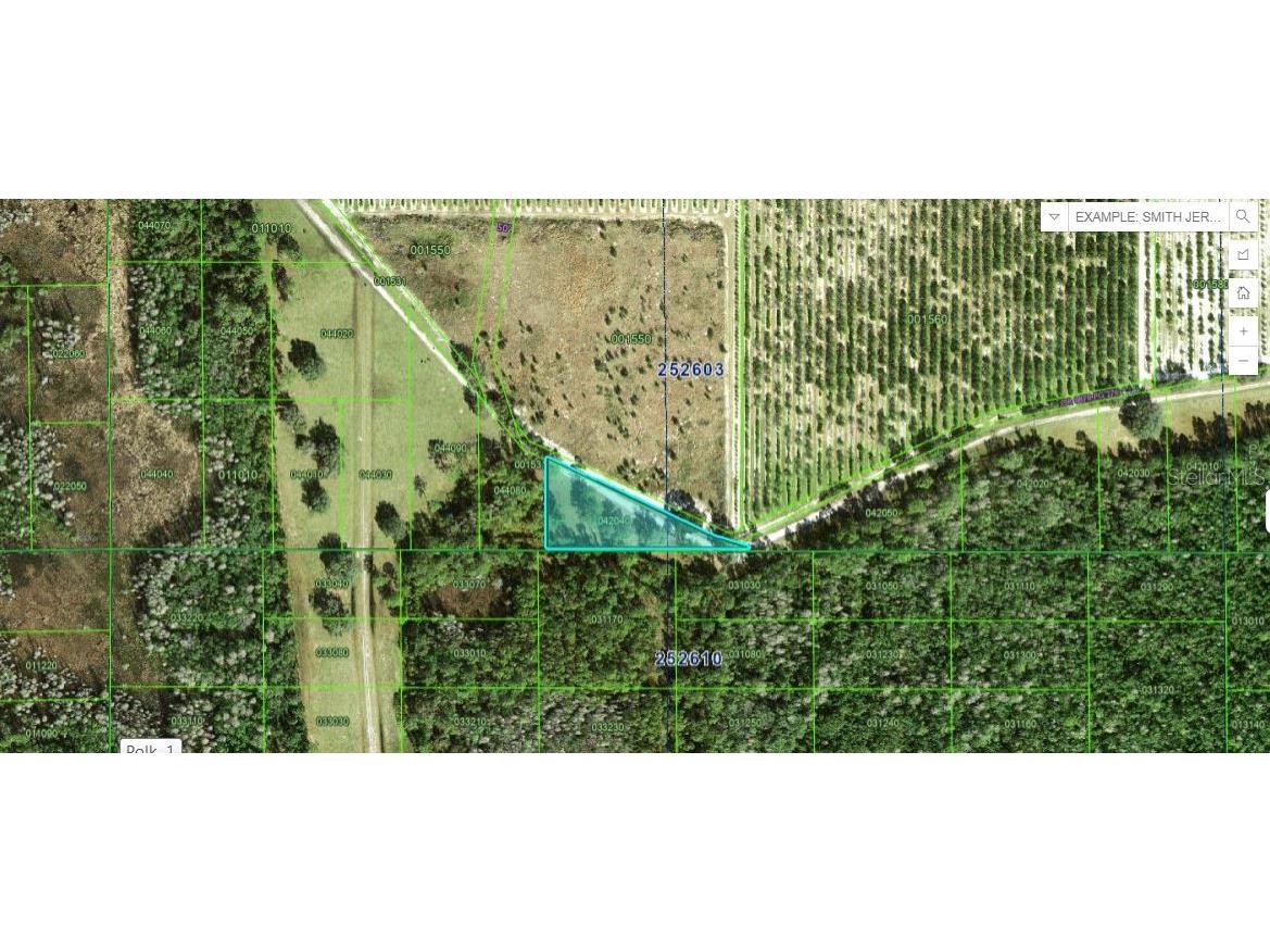 Deen Still Road Polk City FL 33868 O6269506 image1