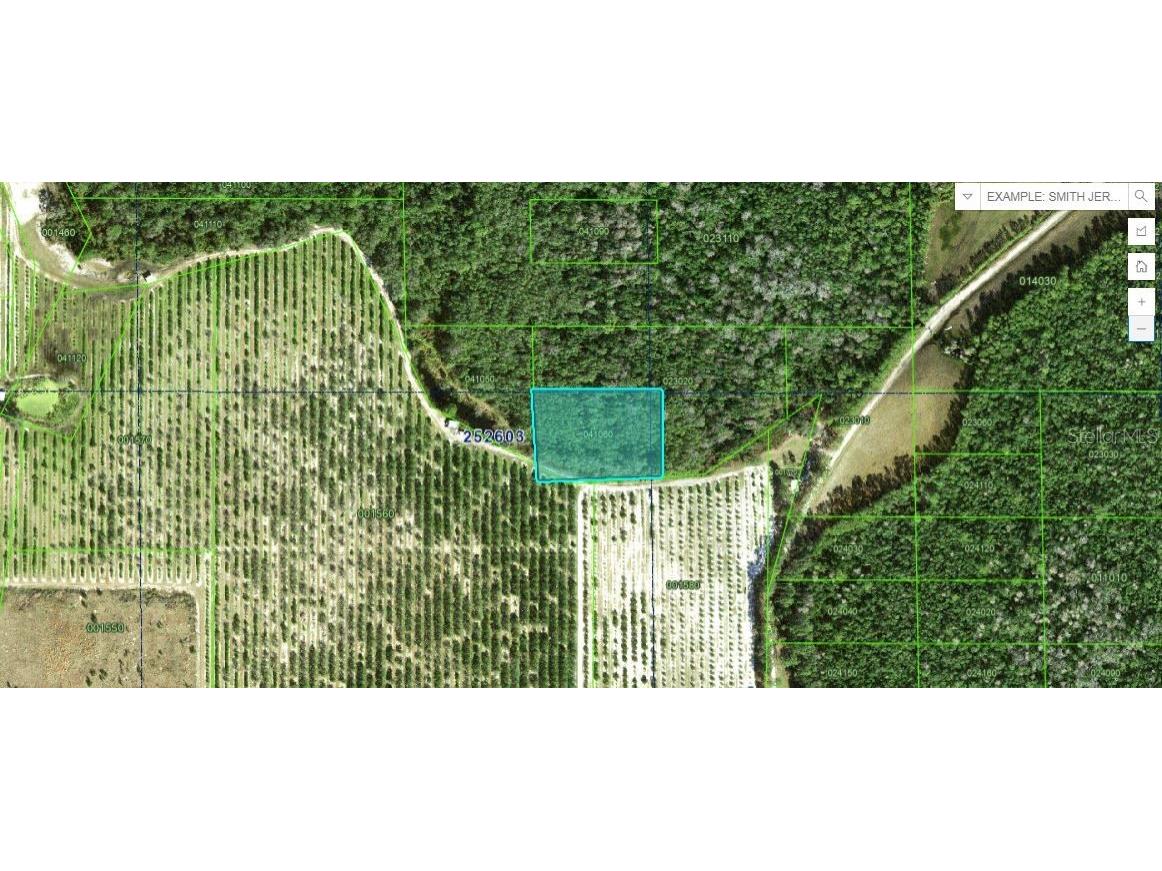 Deen Still Road Polk City FL 33868 O6269507 image1