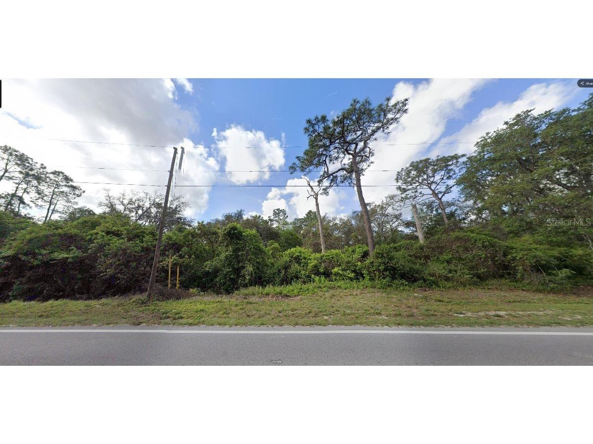 Deen Still Road Polk City FL 33868 O6269507 image2