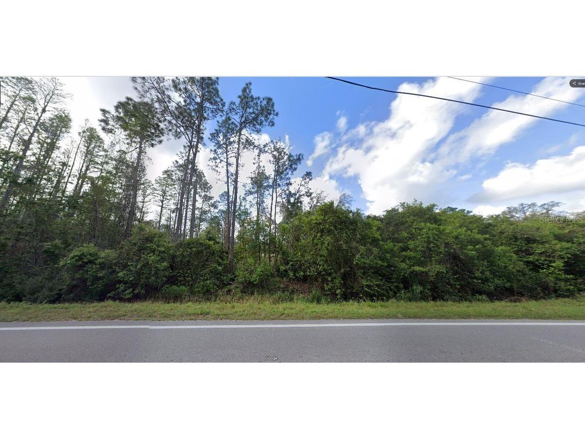 Deen Still Road Polk City FL 33868 O6269509 image2