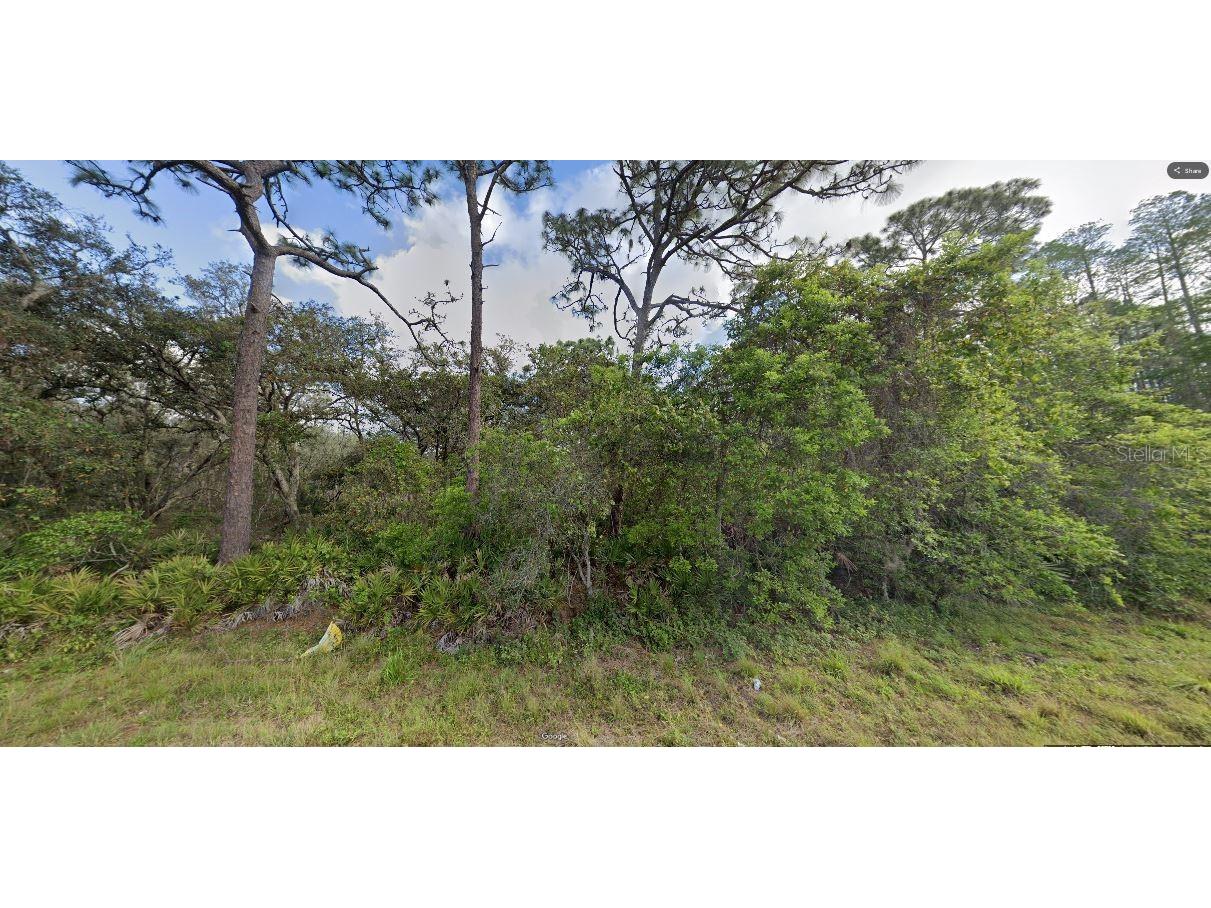 Deen Still Road Polk City FL 33868 O6269846 image2