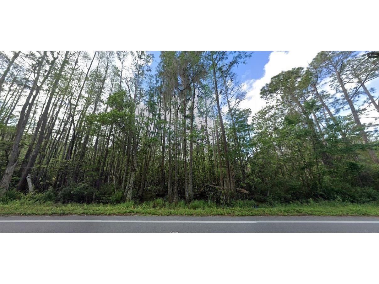 Deen Still Road Polk City FL 33868 O6269848 image2