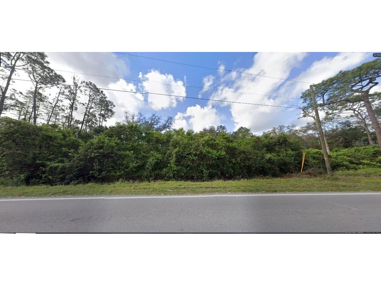 Deen Still Road Polk City FL 33868 O6270331 image2