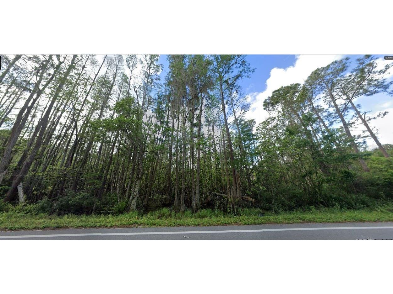 Deen Still Road Polk City FL 33868 O6270333 image2