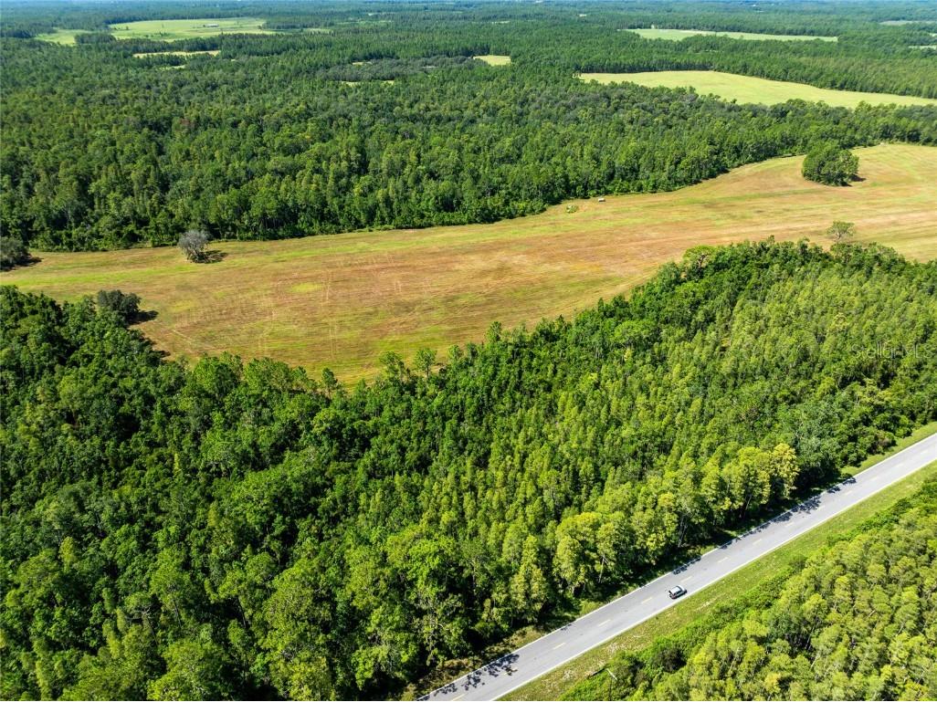 Deen Still Road Polk City FL 33868 O6337157 image10