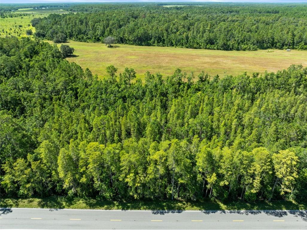 Deen Still Road Polk City FL 33868 O6337157 image11