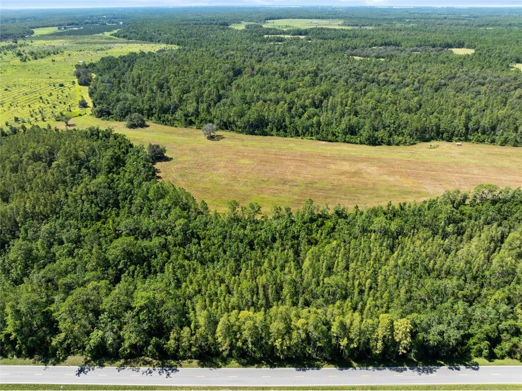 Deen Still Road Polk City FL 33868 O6337157 image2