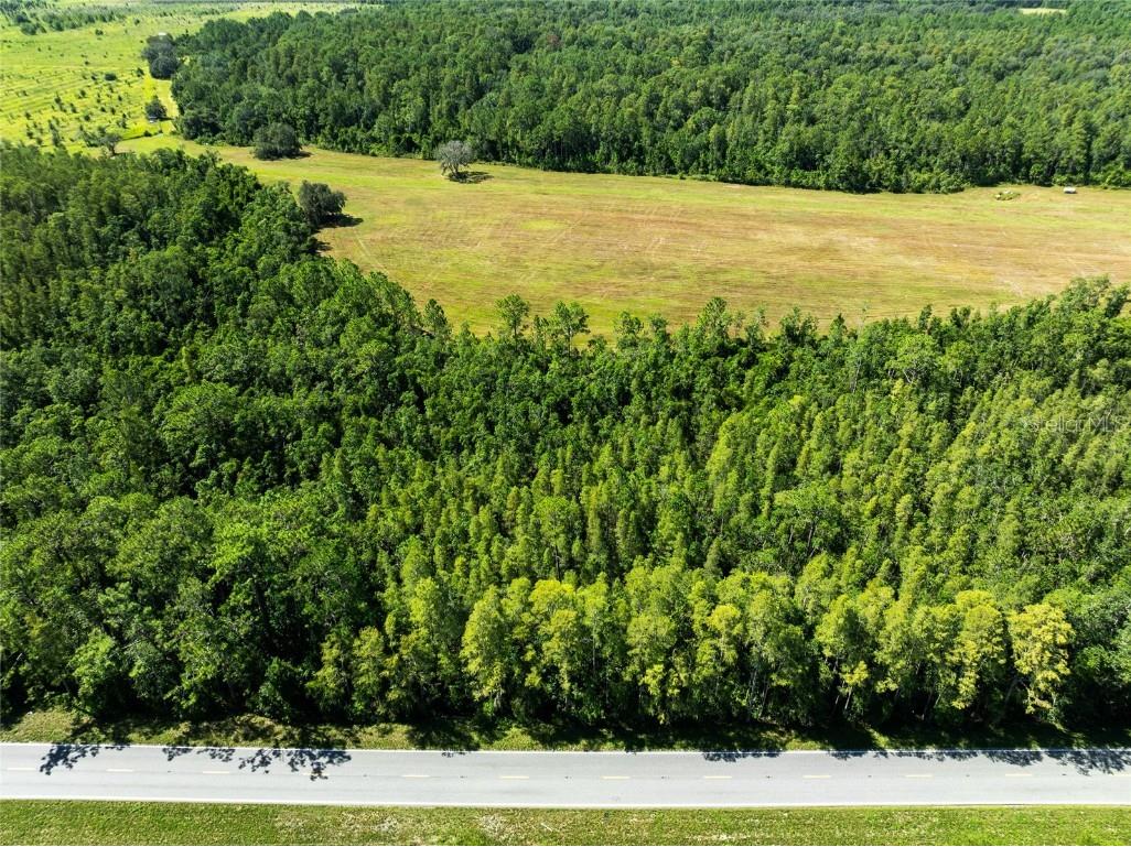 Deen Still Road Polk City FL 33868 O6337157 image3