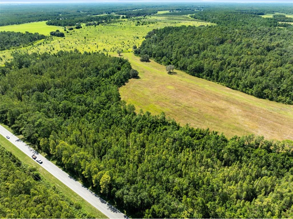 Deen Still Road Polk City FL 33868 O6337157 image4