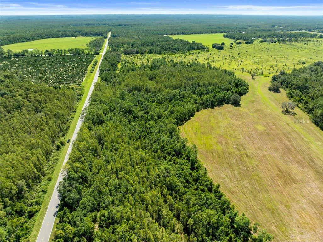 Deen Still Road Polk City FL 33868 O6337157 image5