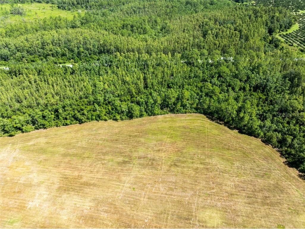 Deen Still Road Polk City FL 33868 O6337157 image6