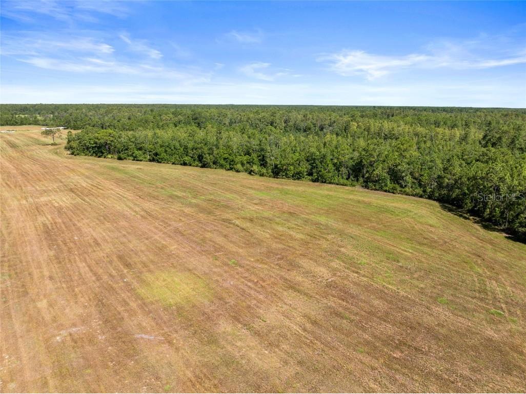 Deen Still Road Polk City FL 33868 O6337157 image7