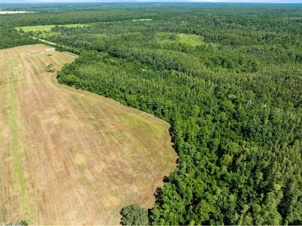 Deen Still Road Polk City FL 33868 O6337157 image8