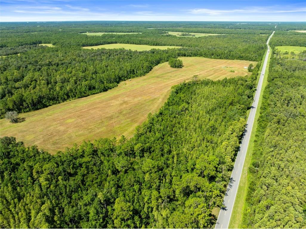 Deen Still Road Polk City FL 33868 O6337157 image9