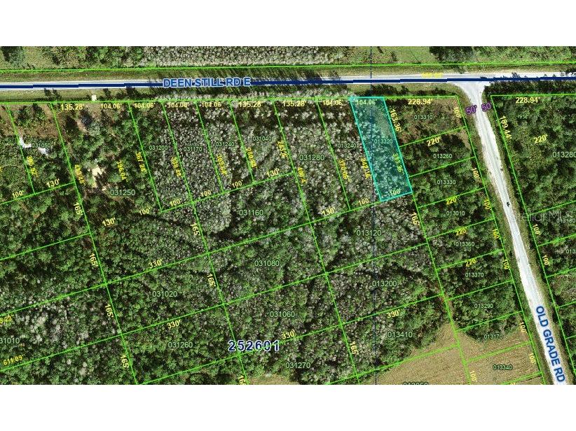 Deen Still Road Polk City FL 33868 S5132591 image1