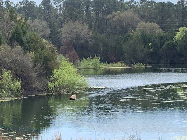 Deep Water Park Williston FL 32696 A4577403 image1