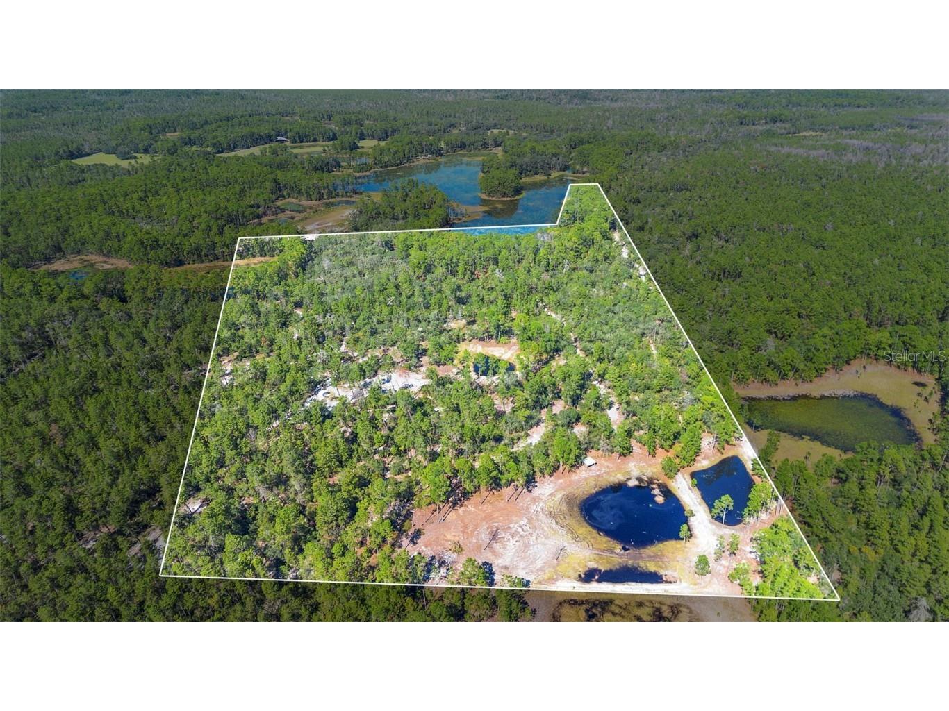 Deep Woods Road Paisley FL 32767 V4945611 image1