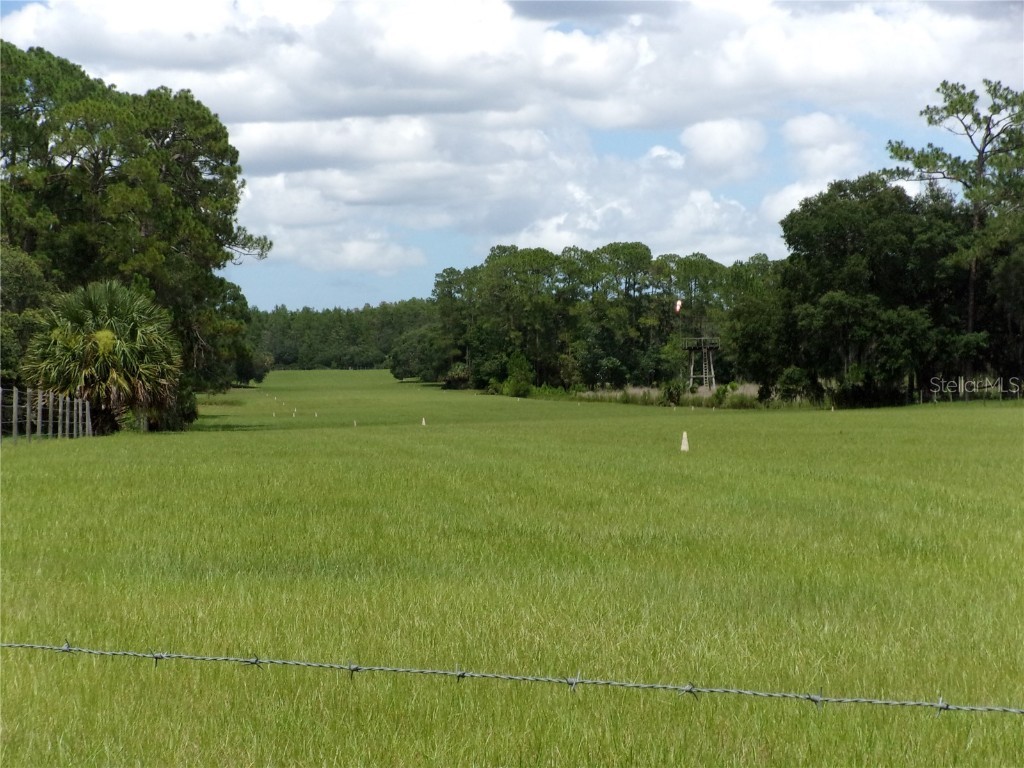 Deep Woods Road Paisley FL 32767 V4945611 image12