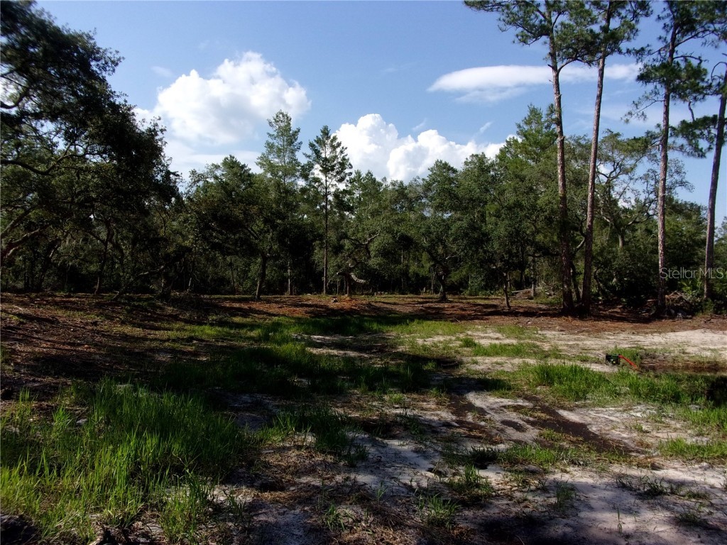 Deep Woods Road Paisley FL 32767 V4945611 image14