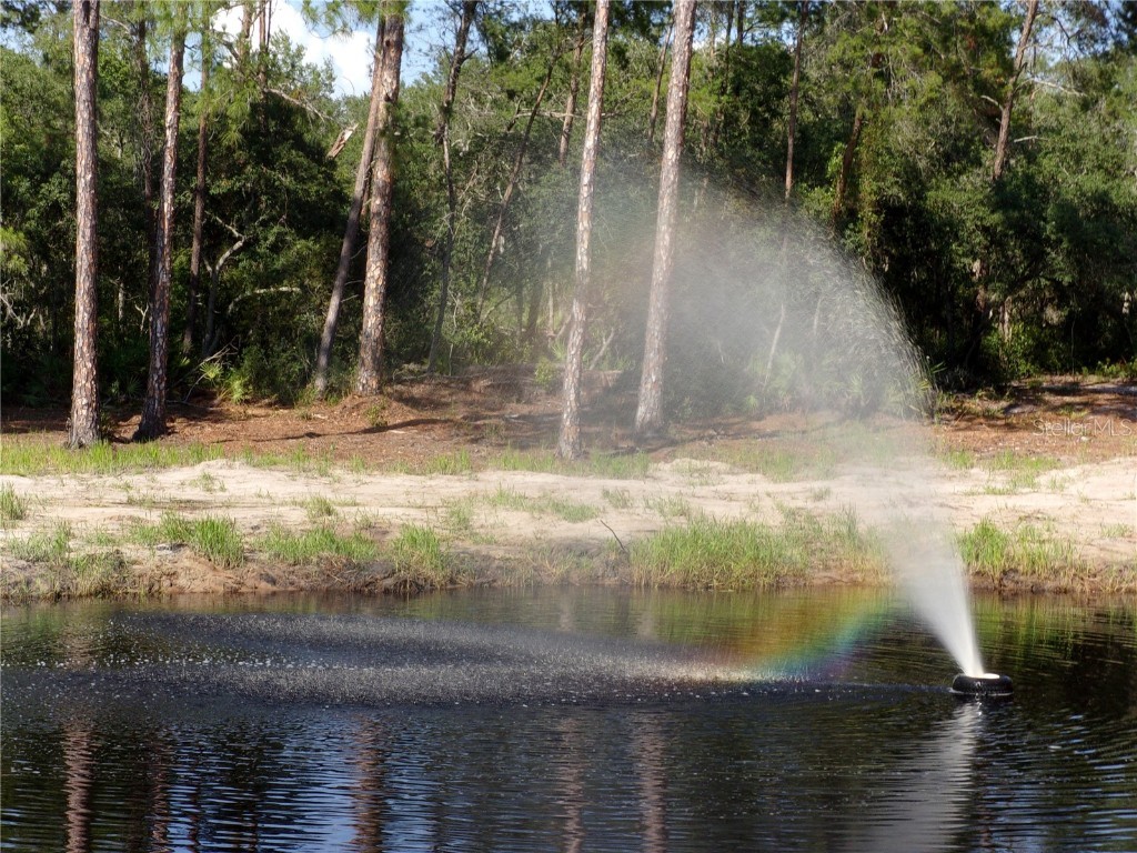 Deep Woods Road Paisley FL 32767 V4945611 image26