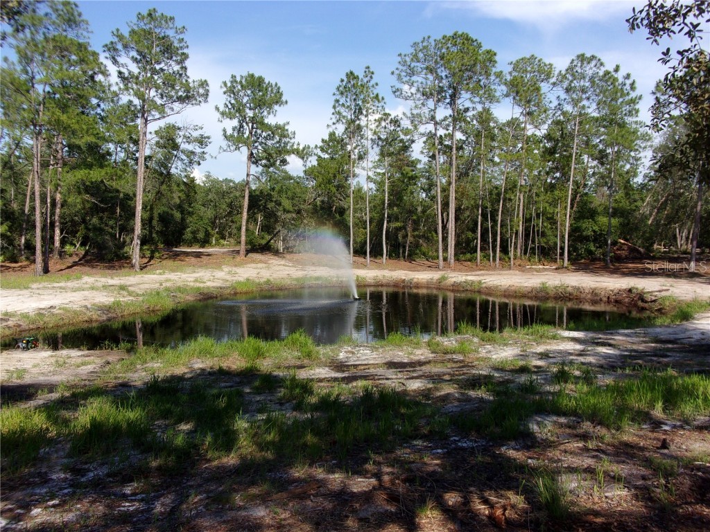 Deep Woods Road Paisley FL 32767 V4945611 image27