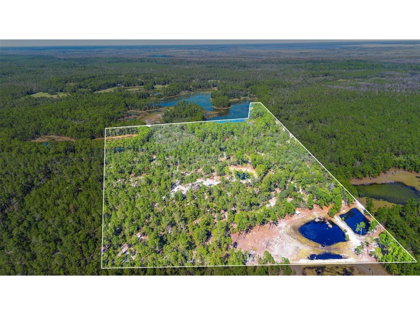 Deep Woods Road Paisley FL 32767 V4945611 image3