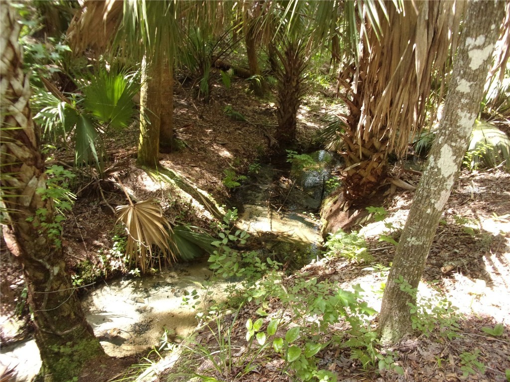 Deep Woods Road Paisley FL 32767 V4945611 image30