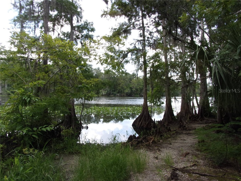 Deep Woods Road Paisley FL 32767 V4945611 image31