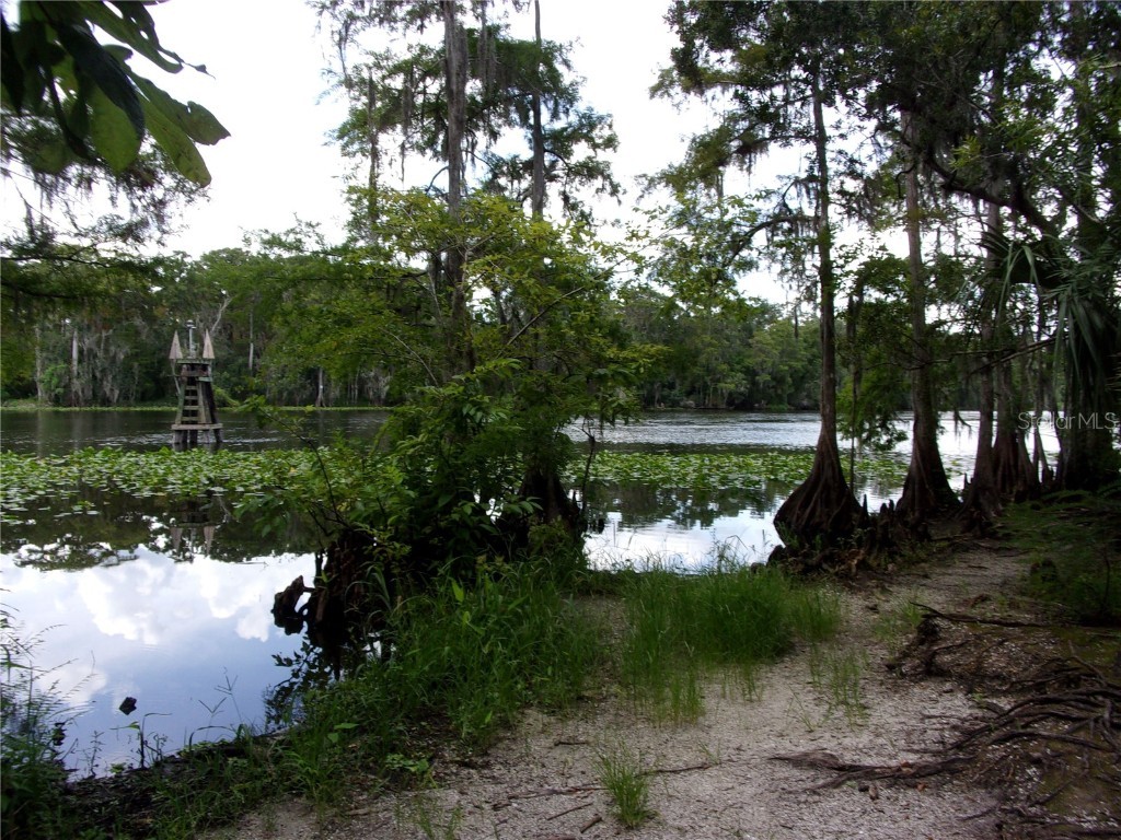 Deep Woods Road Paisley FL 32767 V4945611 image33