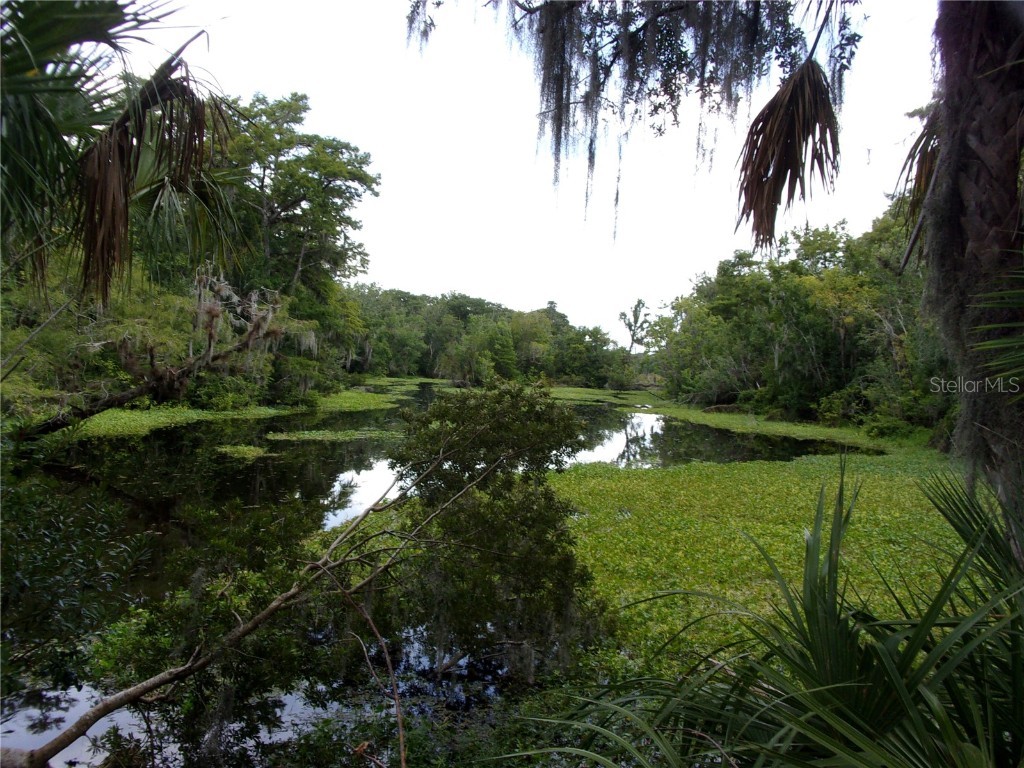 Deep Woods Road Paisley FL 32767 V4945611 image34