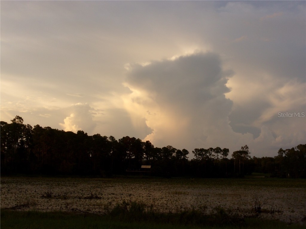 Deep Woods Road Paisley FL 32767 V4945611 image37