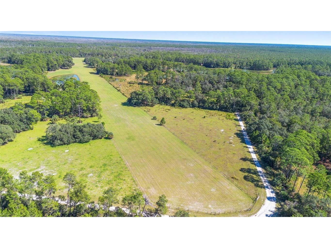 Deep Woods Road Paisley FL 32767 V4945611 image4