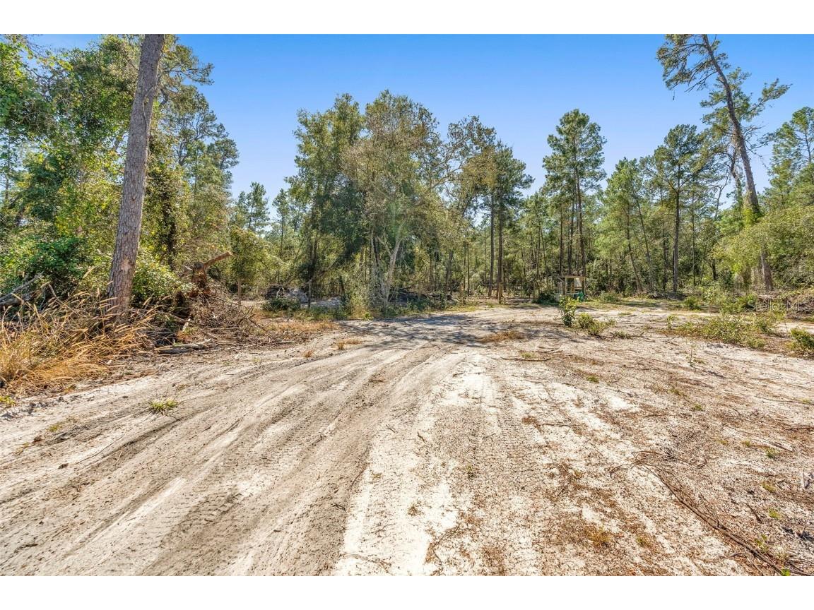 Deep Woods Road Paisley FL 32767 V4945611 image43